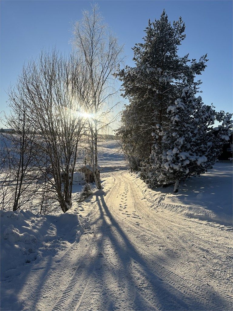 (private vinterbilder tatt av eier) 