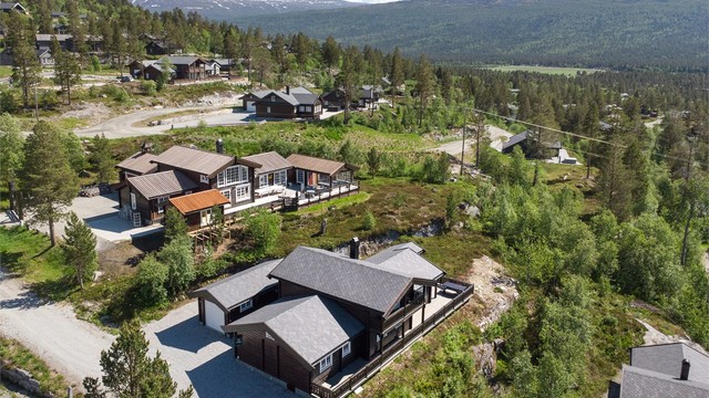 Dronebilde av hytten og nærområdet