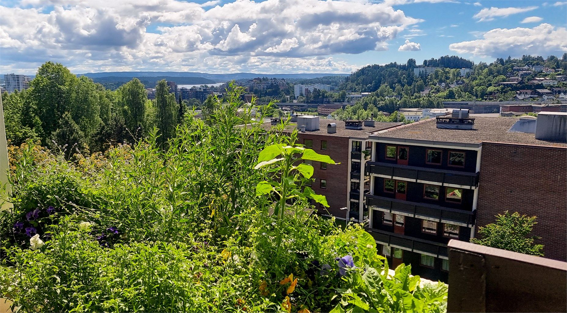 Utsikt mot Sandvika, sjøen og Nesoddlandet