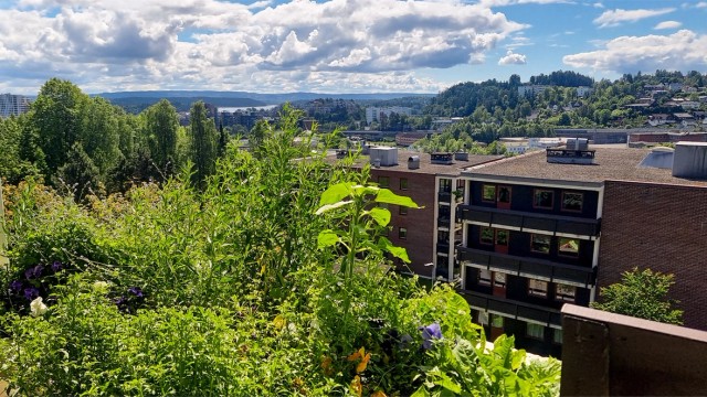 Utsikt mot Sandvika, sjøen og Nesoddlandet