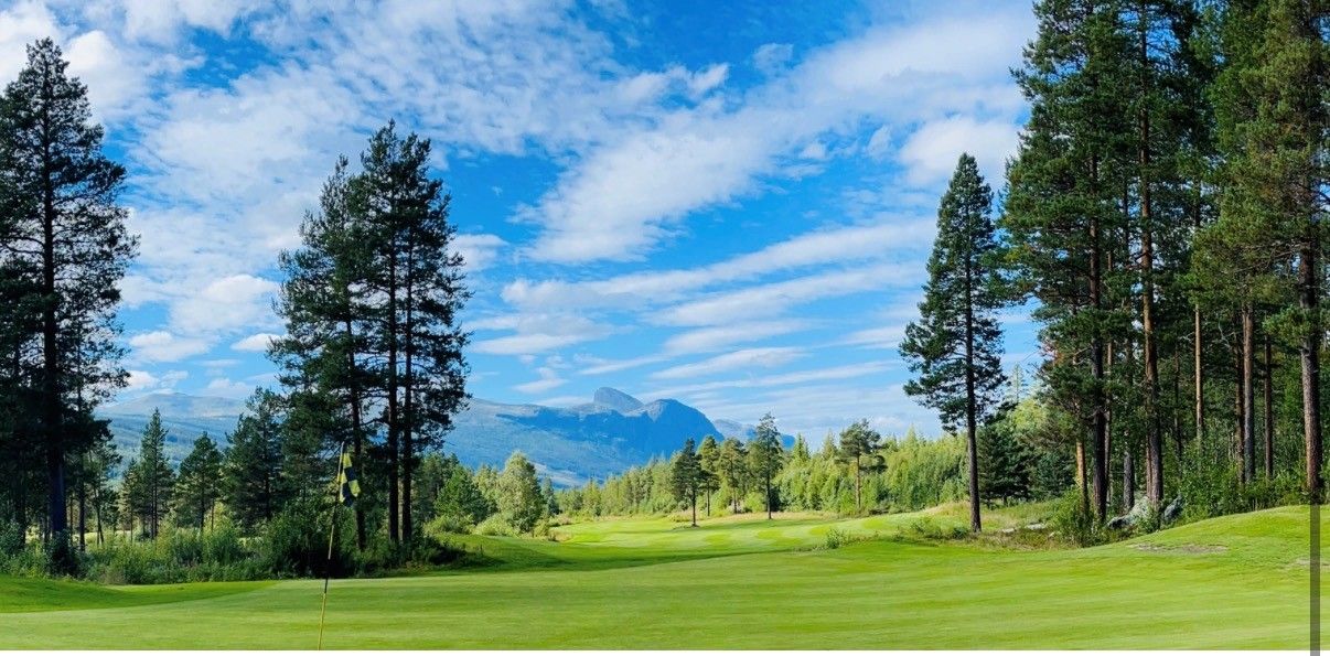 Hemsedal Golfalpin er en fullverdig 18-hullsbane, bare 15minutter fra leiligheten.