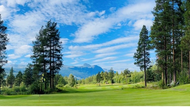 Hemsedal Golfalpin er en fullverdig 18-hullsbane, bare 15minutter fra leiligheten.