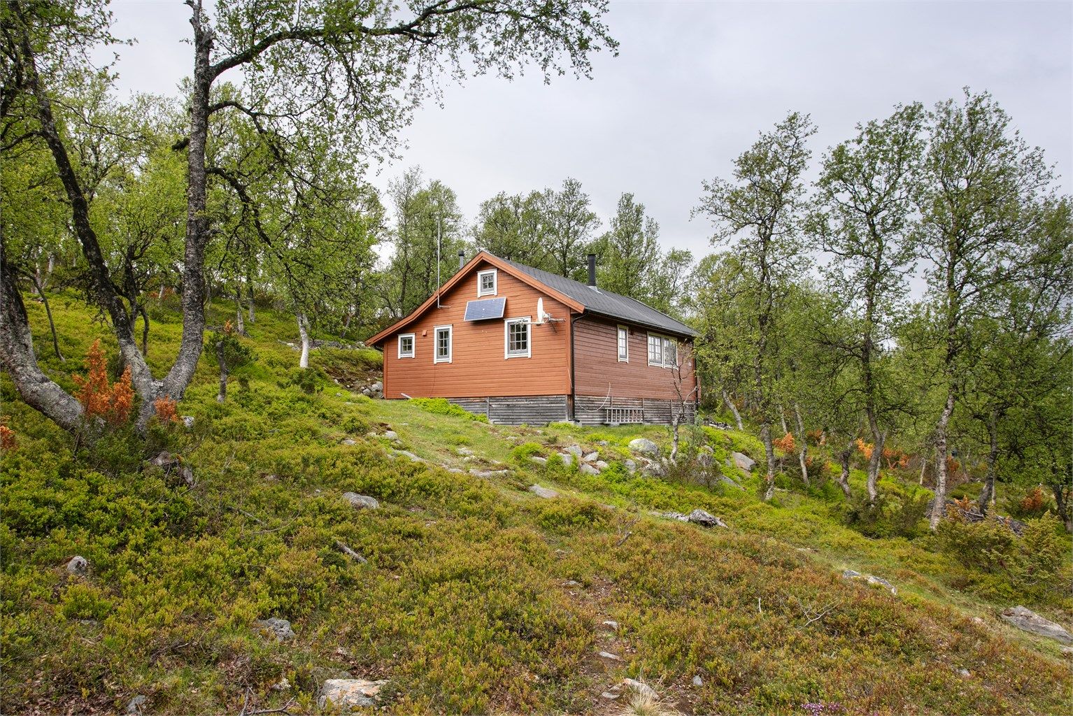 Adkomst til hytten via sti i terrenget