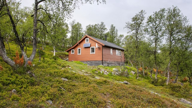 Adkomst til hytten via sti i terrenget
