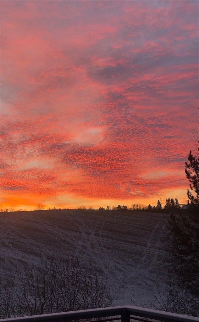 (private bilder tatt av eier) 