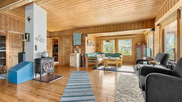 Romslig stue med vedovn som skaper en lun og varm atmosfære på kjølige dager.