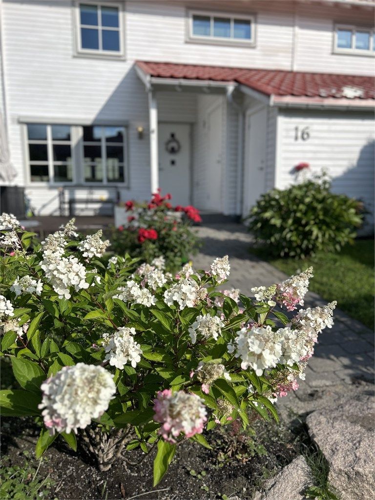 Hage/inngang - Selgers bilde