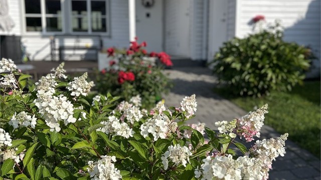 Hage/inngang - Selgers bilde