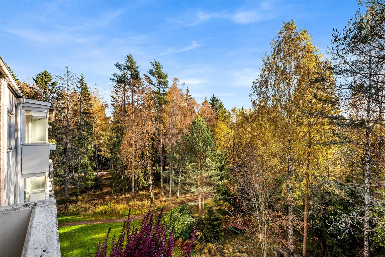 Grønt og frodig utsyn fra balkongen! 
Marka ligger bak skogholtet.