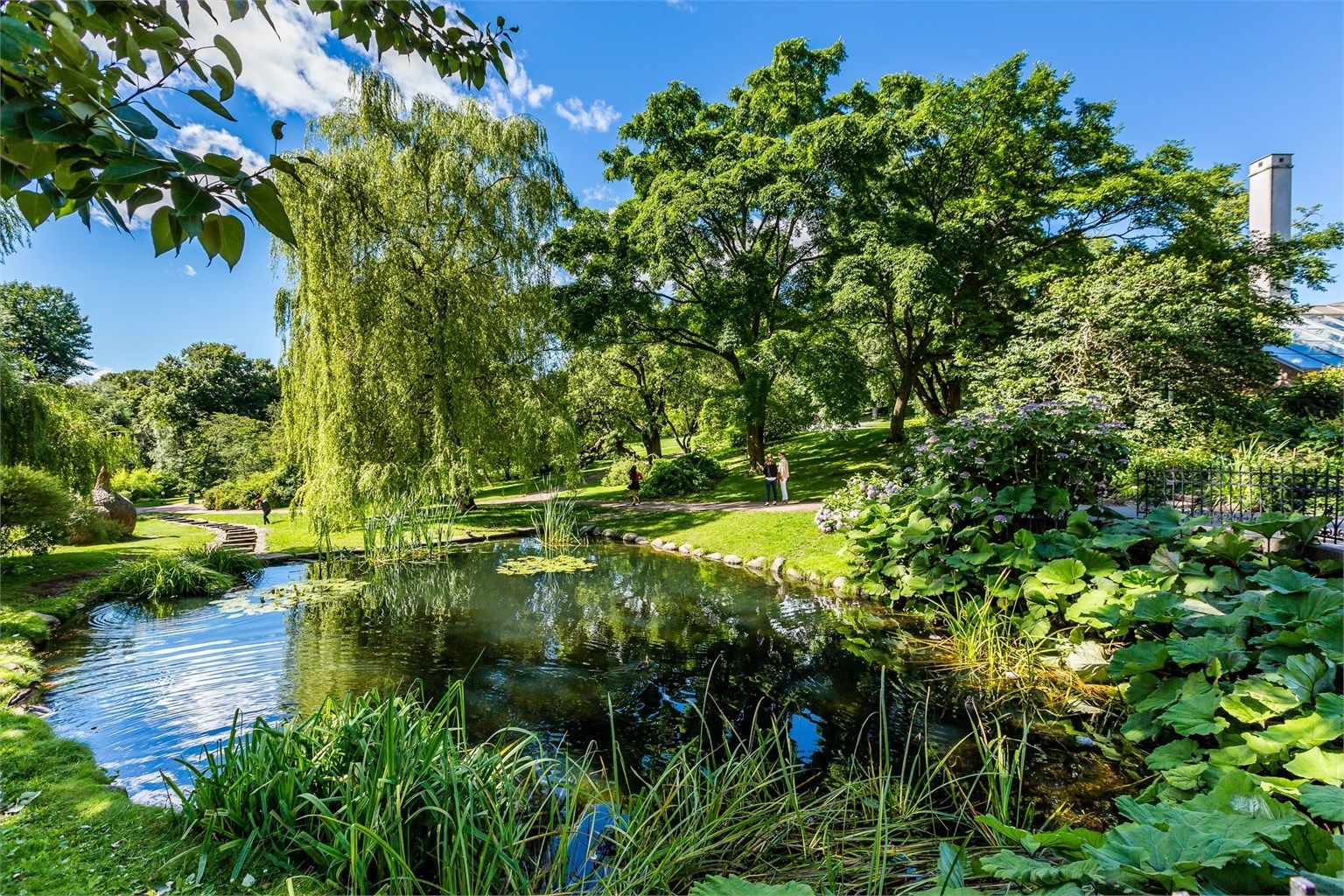 Botanisk hage er en grønn oase, ideell for både løpeturer eller piknik med venner på solfylte dager.