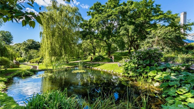 Botanisk hage er en grønn oase, ideell for både løpeturer eller piknik med venner på solfylte dager.