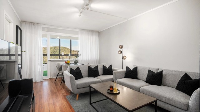 Pen 4-roms toppleilighet