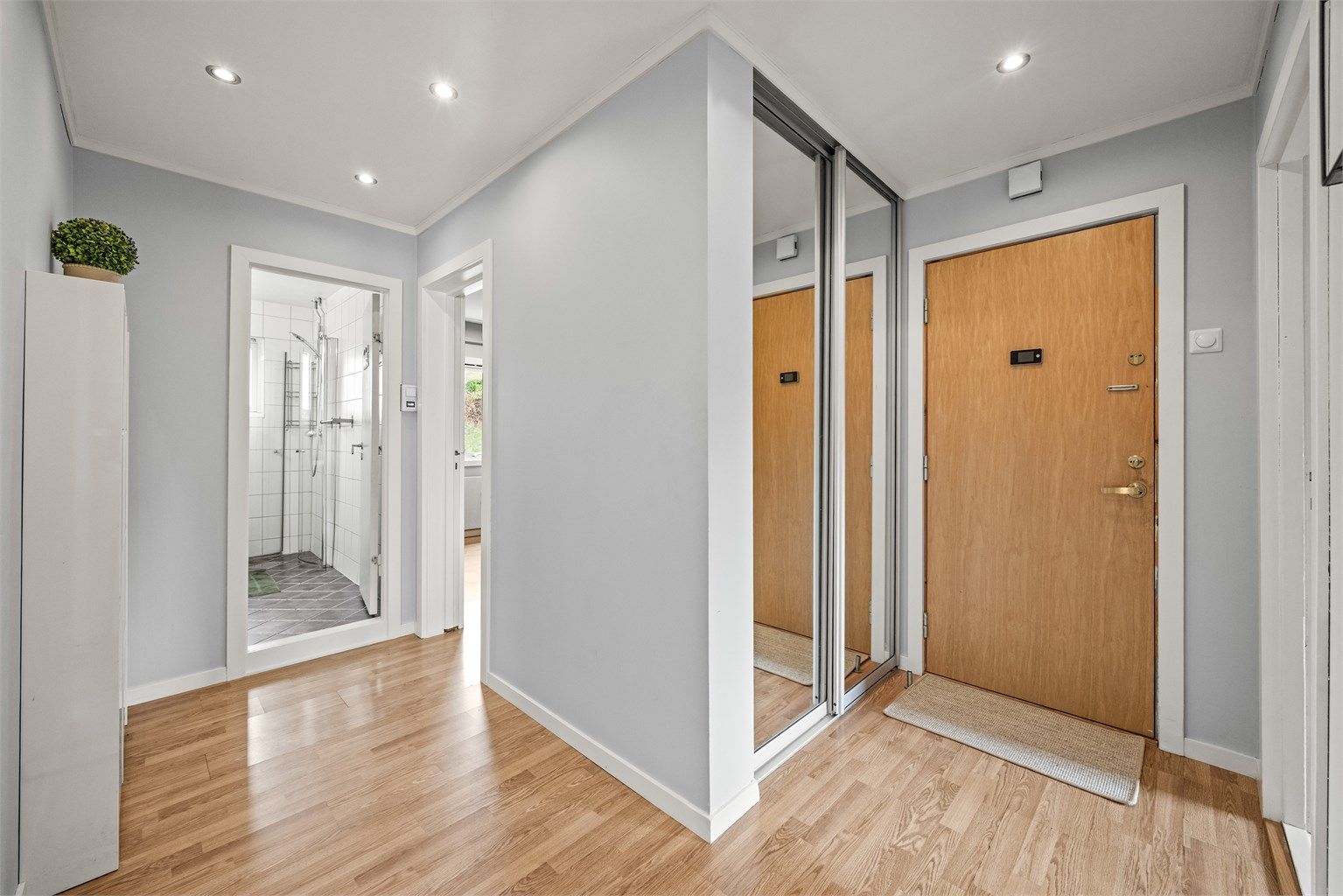Entréen har skyvedørsgarderobe med speilfronter og direkte adkomst til badet.