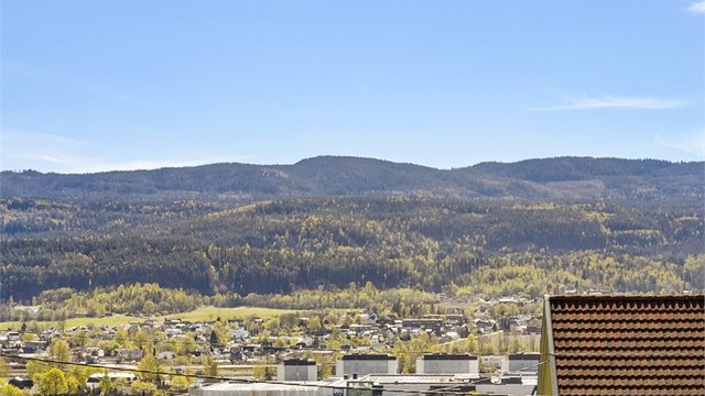 Utsikt - Nærområdet.
