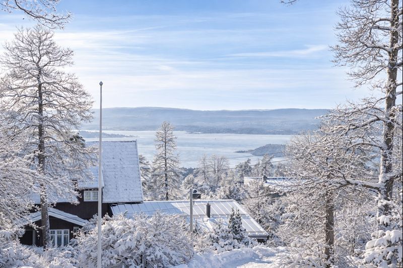 Boligen har fantastisk utsikt, solrik, hybel, garasje og vestvendt hage. (AI generert vinter)