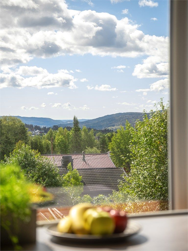 Utsikt fra kjøkkenvindu.