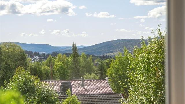 Utsikt fra kjøkkenvindu.