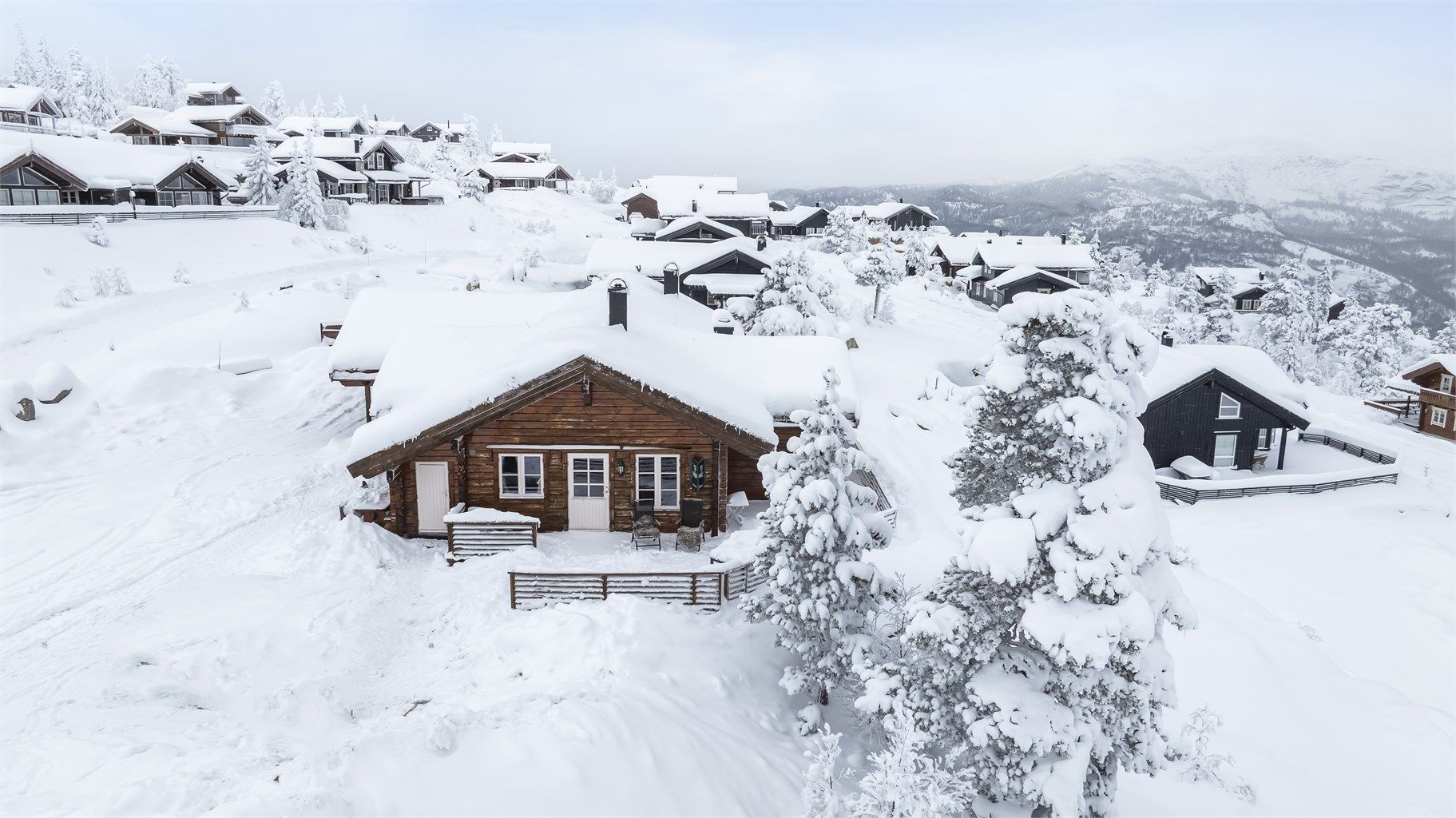 Spenn skiene på og ta turen ut i naturskjønne områder -langrenn eller alpint!