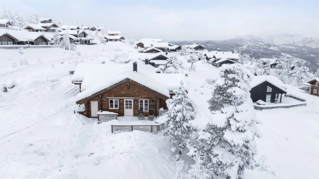 Spenn skiene på og ta turen ut i naturskjønne områder -langrenn eller alpint!