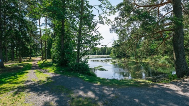 Bugårdsdammen er en populær arena hvor mange løper rundt vannet eller spaserer sin daglige tur.