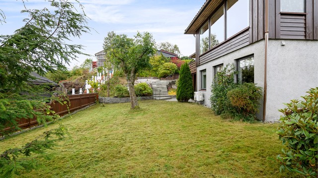 Romslig plenareal på boligens framside skjermet av hekk og gjerde.