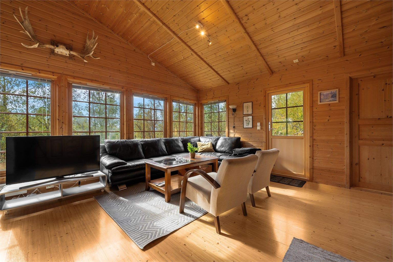 - Velkommen til Dyregrenda Nord 37 - 