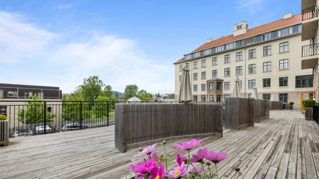 Sameiet har en stor felles terrasse med hyggelige skjermede soner