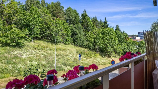 Her kan du nyte sene sommerkvelder.