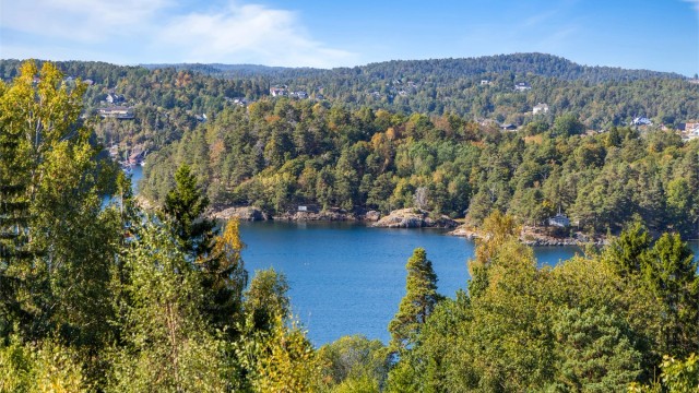 Utsikten fra veranda.