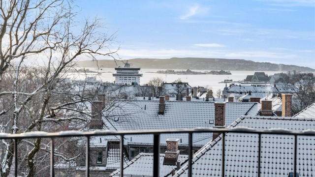 Panoramautsikt over Oslofjorden.