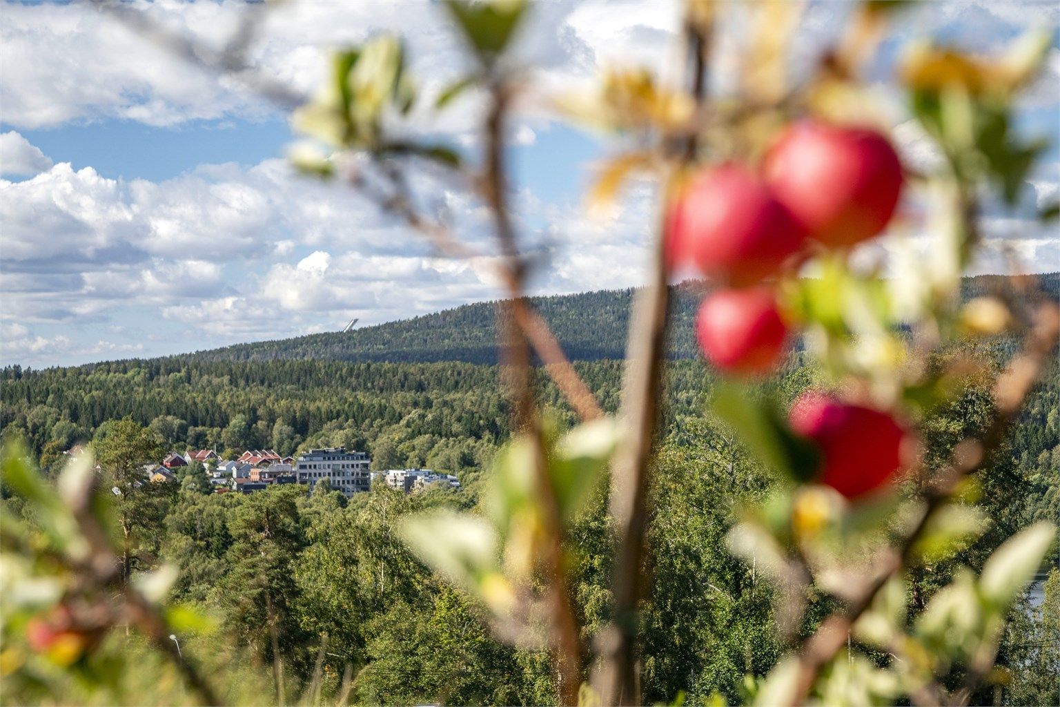 Med nydelig utsikt mot "Maridalsalpene" kan man til og med skimte Holmenkollen