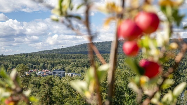 Med nydelig utsikt mot "Maridalsalpene" kan man til og med skimte Holmenkollen