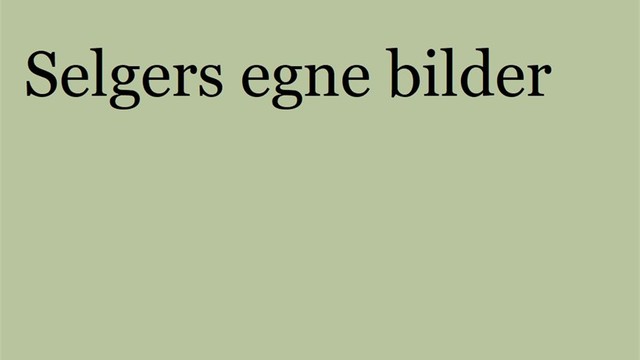 Selgers egne bilder
