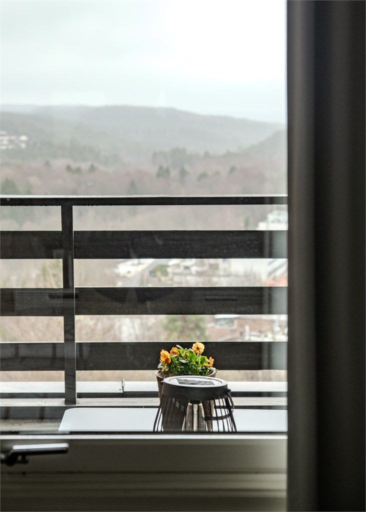 Fra leiligheten er det en åpen og vidstrakt utsikt.