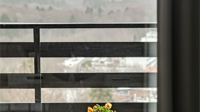 Fra leiligheten er det en åpen og vidstrakt utsikt.