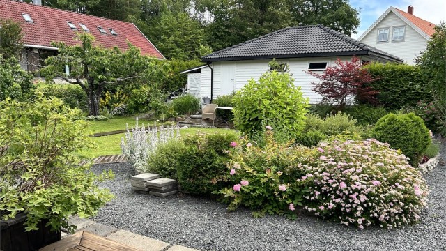 Selgers sommerbilde