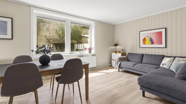 Lun og trivelig stue / spisestue