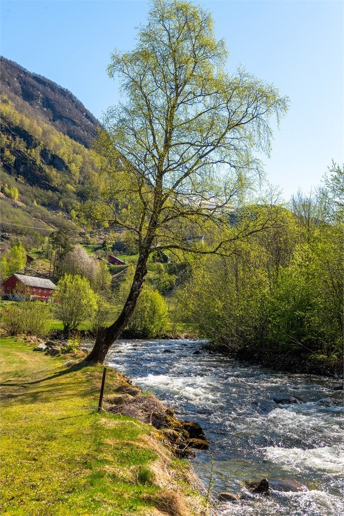 Lyden av rennende vann fra elven bidrar til den fredelige atmosfæren.