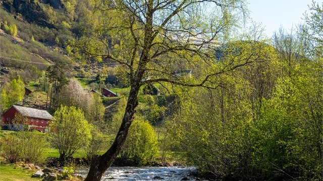 Lyden av rennende vann fra elven bidrar til den fredelige atmosfæren.
