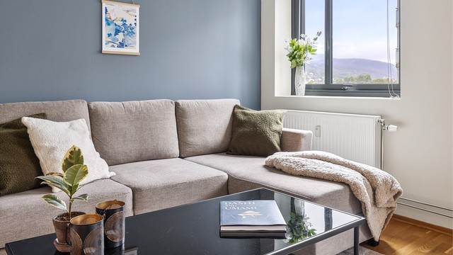 Leiligheten har balansert ventilasjonsanlegg og fjernvarme via radiatorer.