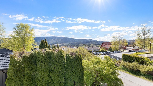 Utsikten