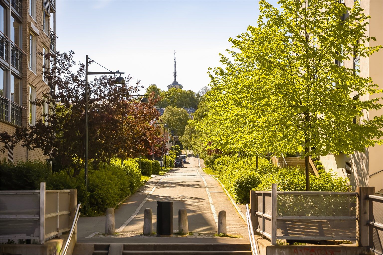 Rosenborg Park er et meget attraktiv boligområde rett ovenfor Møllenberg