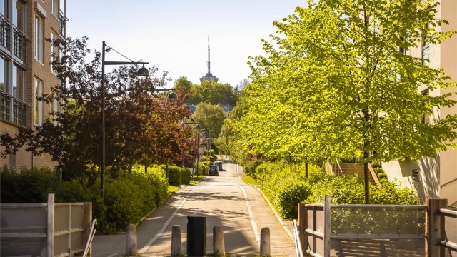 Rosenborg Park er et meget attraktiv boligområde rett ovenfor Møllenberg