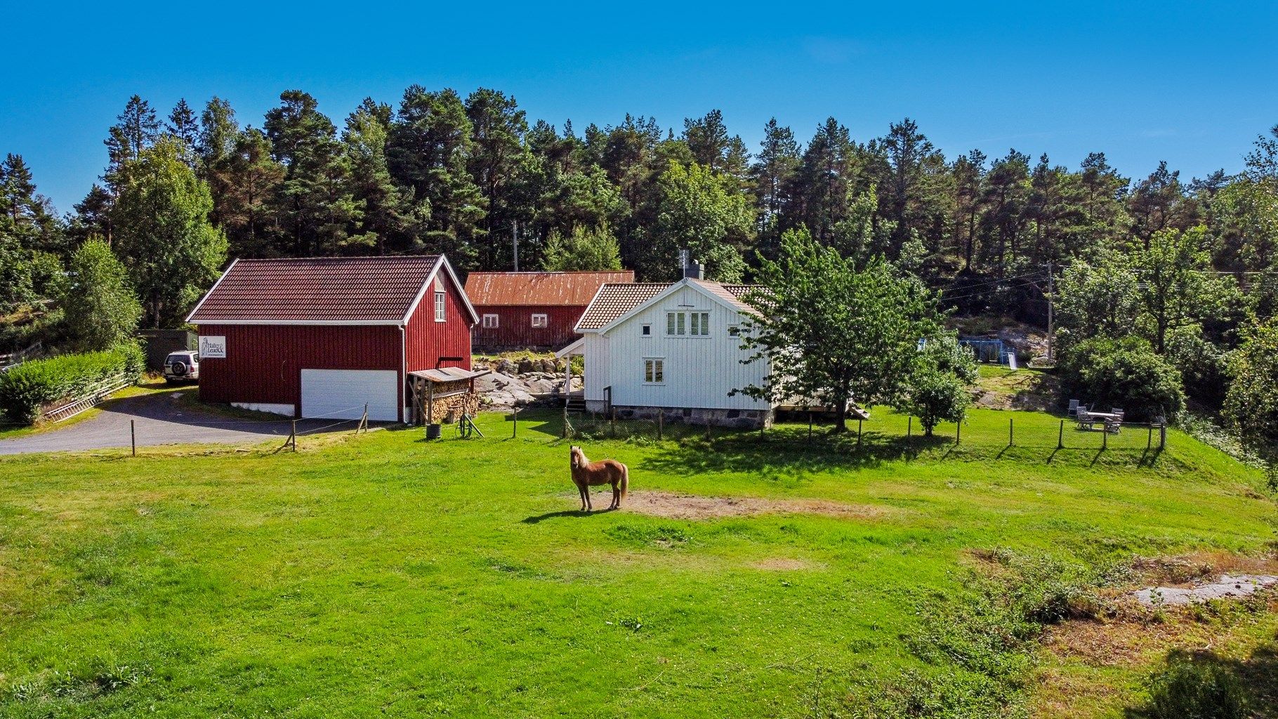 God plass til hest og husdyr.