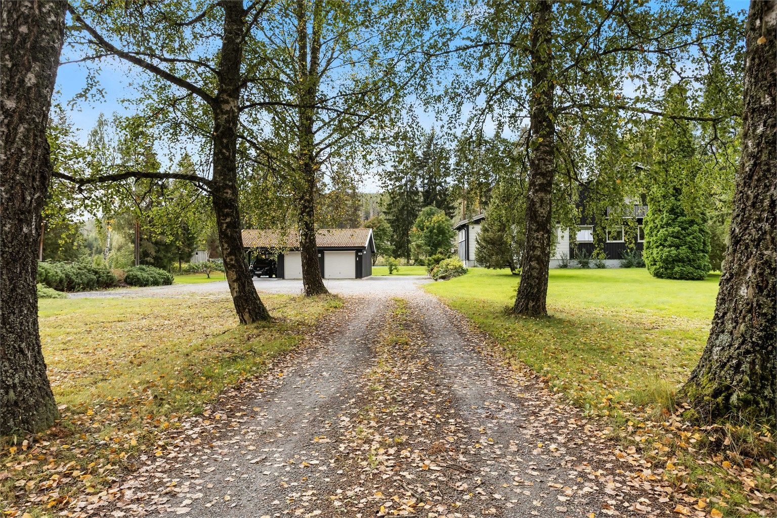 Innkjørsel til eiendommen. 