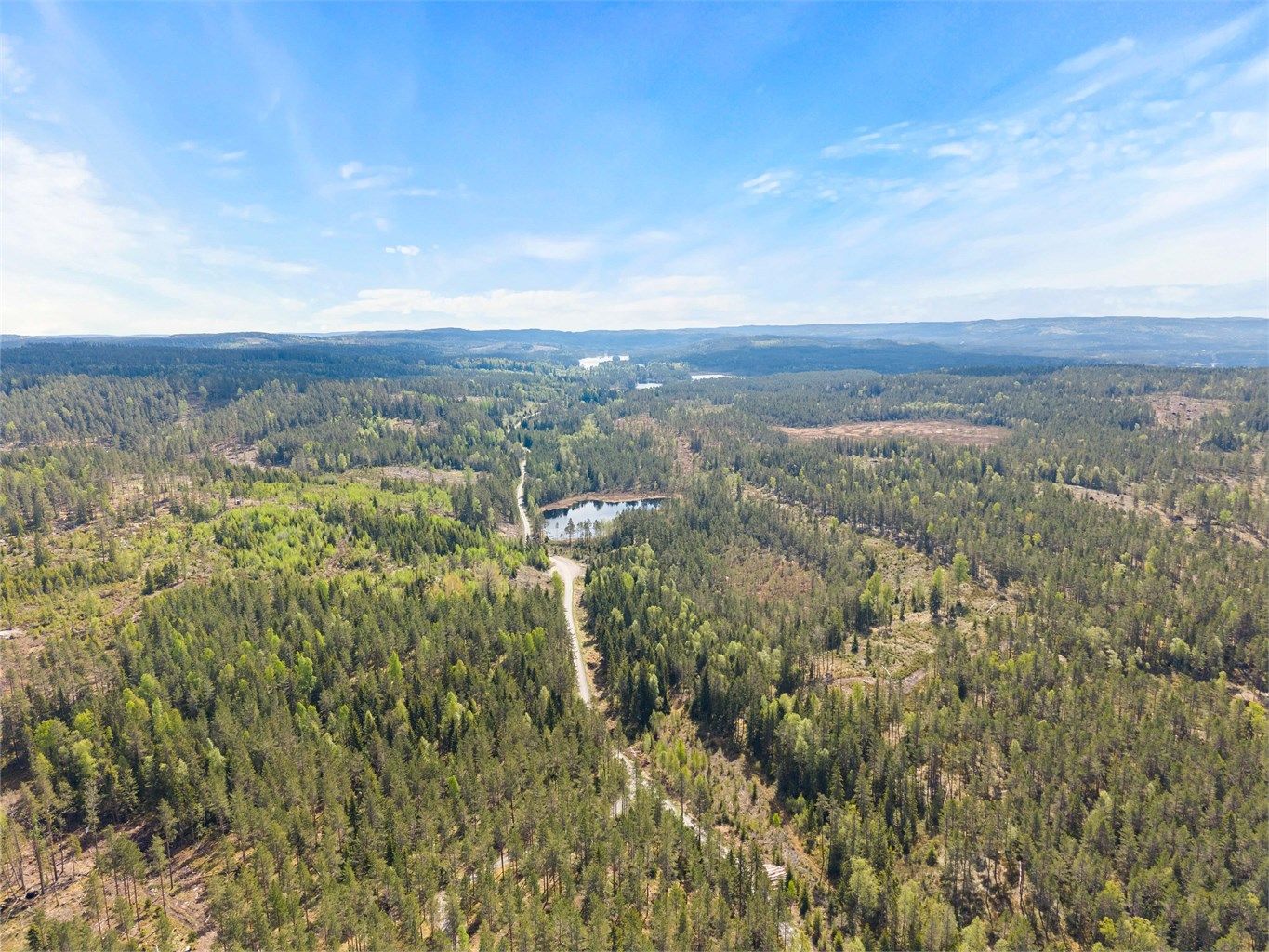 Til eiendommen hører det med betydelige skogarealer.