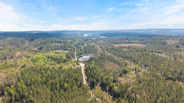 Til eiendommen hører det med betydelige skogarealer.