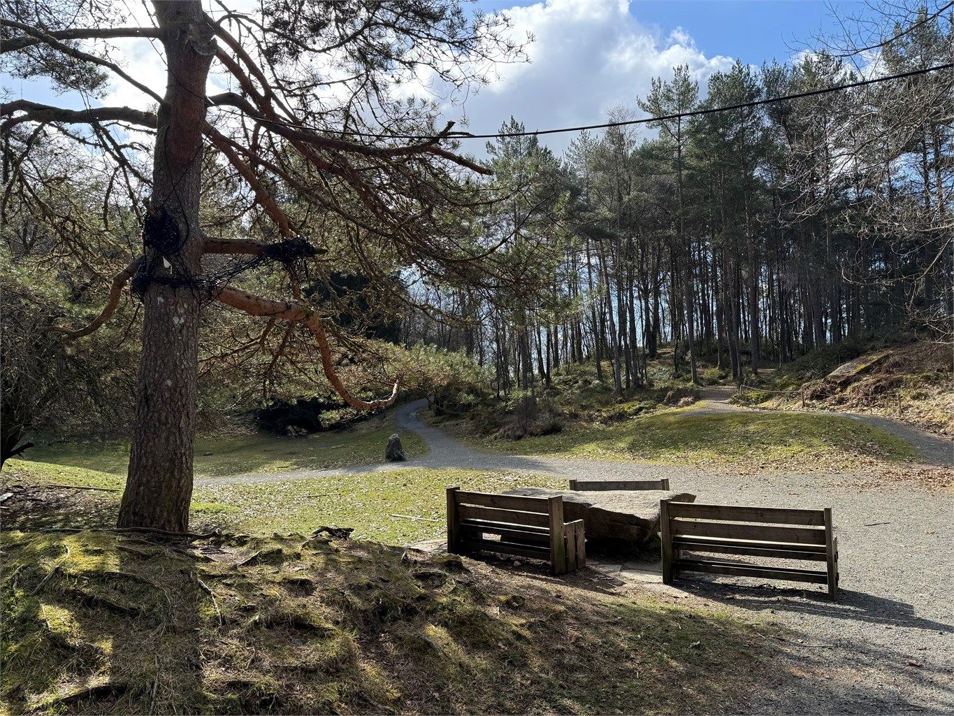 I nærområdet er det mange gode og varierte turmuligheter som Siljustølen, Sæverudskogen, Smøråsen, Stendafjellet og Hordnesskogen.