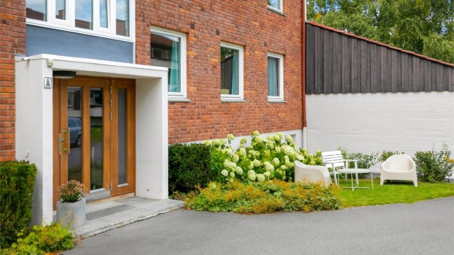 Velkommen hjem