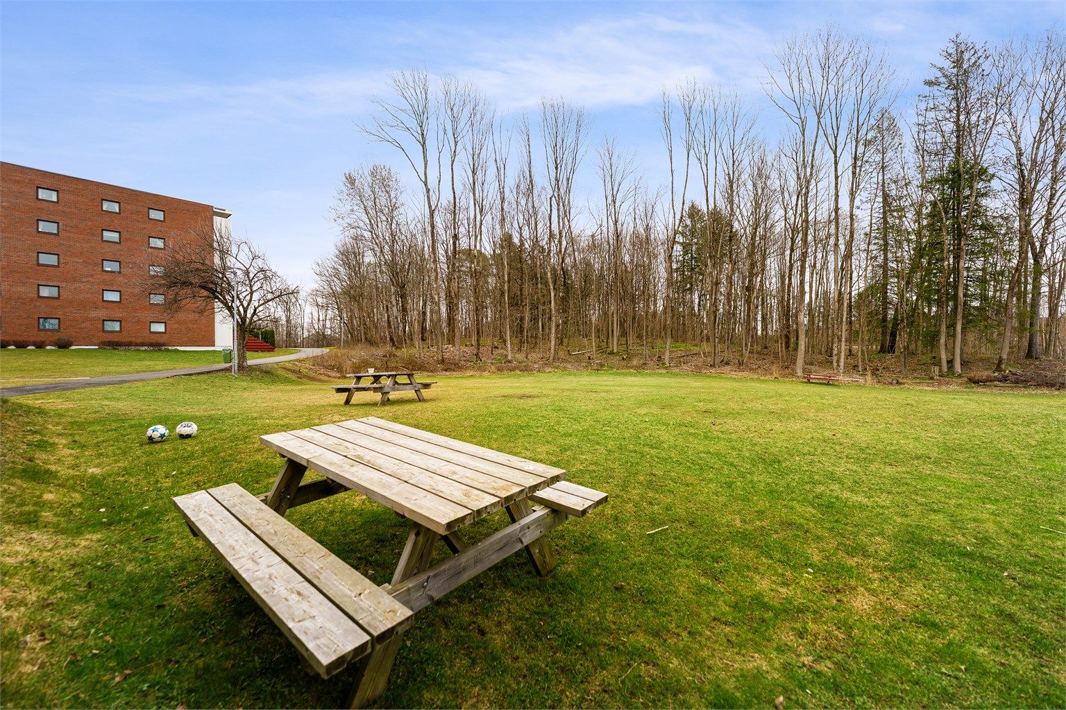 Fellesområdene er opparbeidet med plenarealer, sittebenker og beplantning.